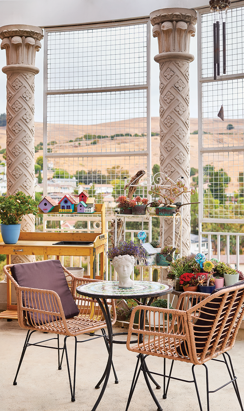 Plant patio Plant patio