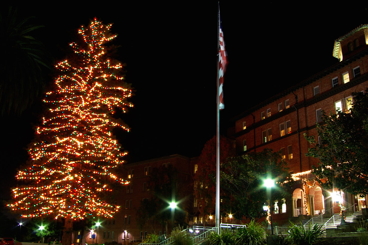Tree Lighting Celebration