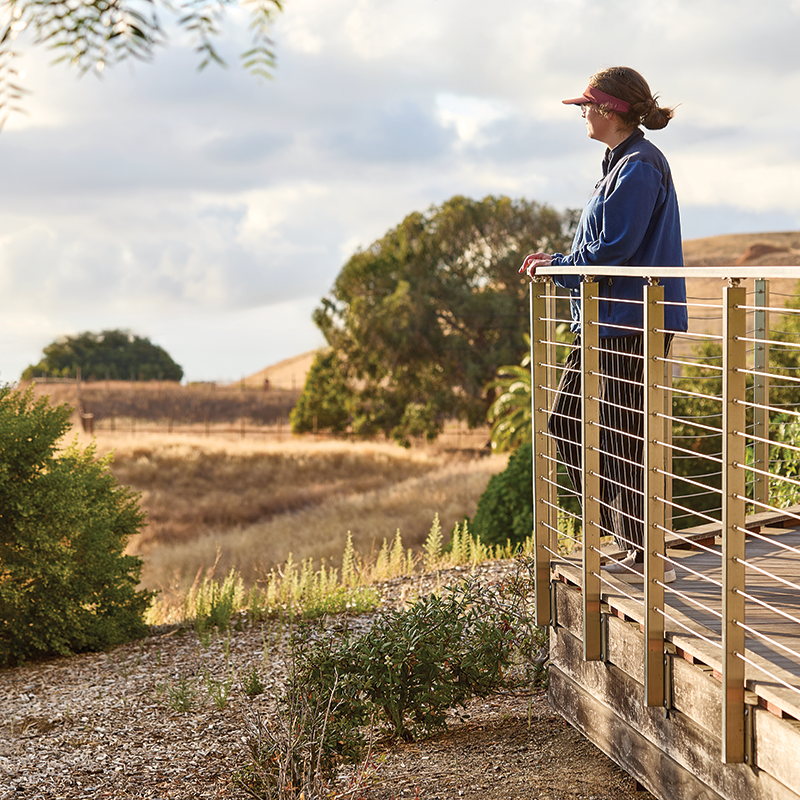 View Point View Point