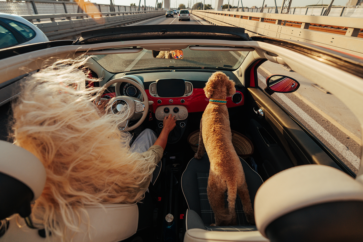 Solo Aging Tips for the New Year